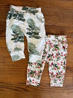 18-24 months kate Quinn the woods bamboo botanical print jogger pants floral